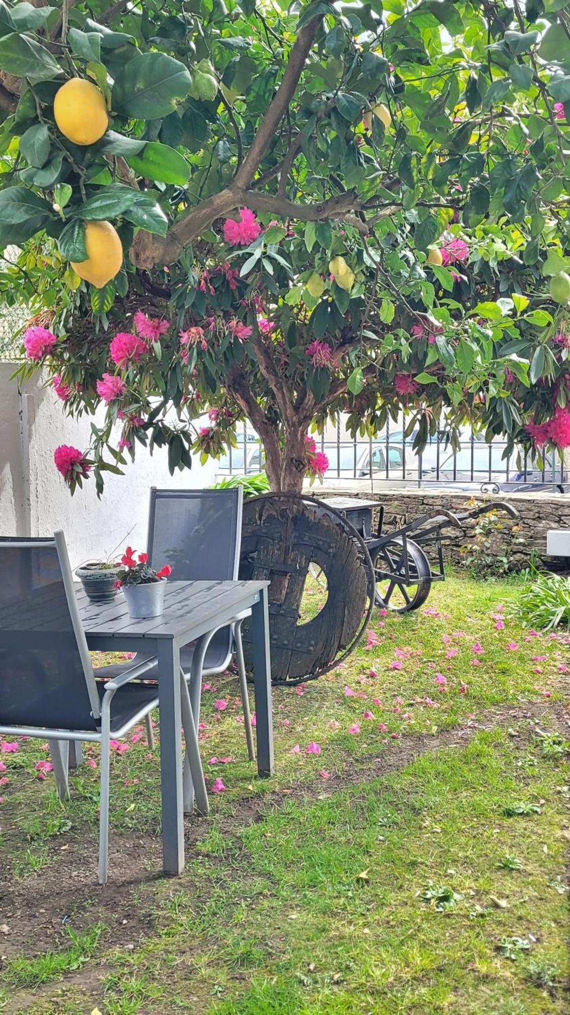 Besbello Suites Apartamento Сантьяго-де-Компостела Екстер'єр фото
